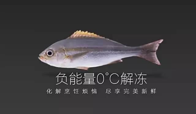 不用水不用電10分鐘解凍任何食材,簡直廚房黑科技