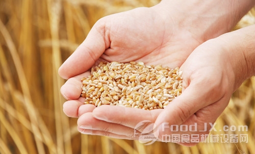 四部門聯(lián)合發(fā)文加強國家政策性糧食出庫管理