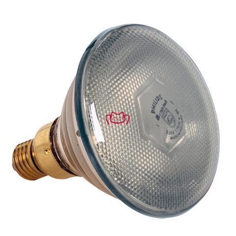 Lo<em></em>nGLIFE 保溫燈燈泡250w(透明)