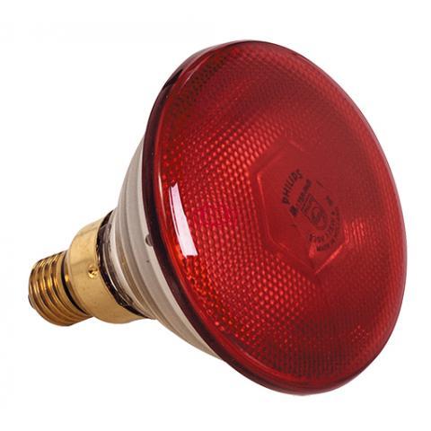 Lo<em></em>nGLIFE 保溫燈燈泡250W (紅色)