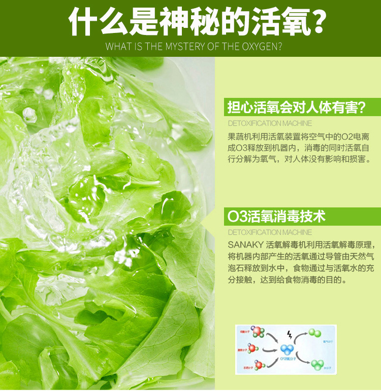 悍舒商用臭氧氣泡消毒洗菜機(jī) 果蔬清洗機(jī) 商用全自動洗菜設(shè)備