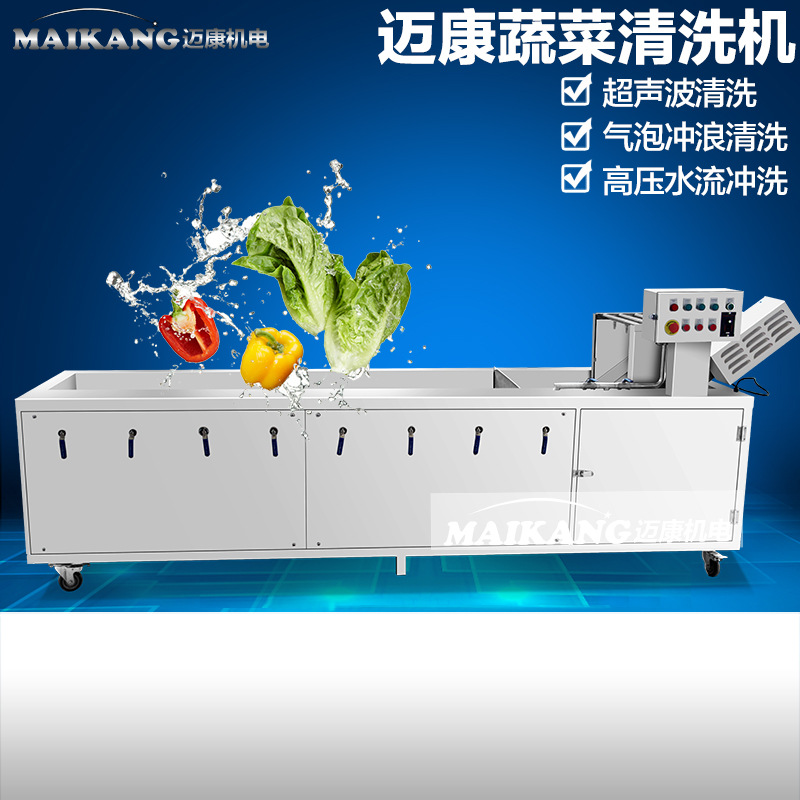 新春推出大型氣泡臭氧洗菜機 商用蔬菜清洗機 特價臭氧洗菜機設(shè)備