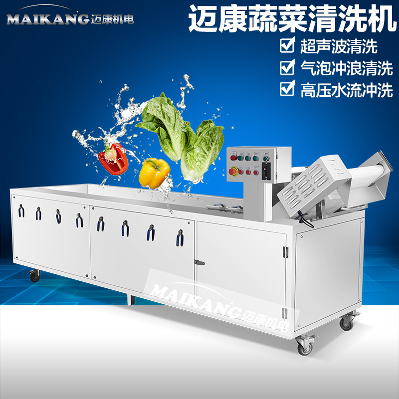 新春推出大型氣泡臭氧洗菜機 商用蔬菜清洗機 特價臭氧洗菜機設(shè)備