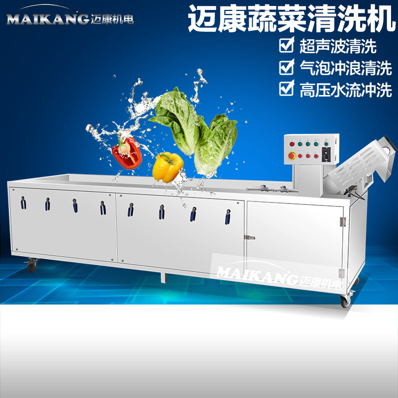新春推出大型氣泡臭氧洗菜機 商用蔬菜清洗機 特價臭氧洗菜機設(shè)備