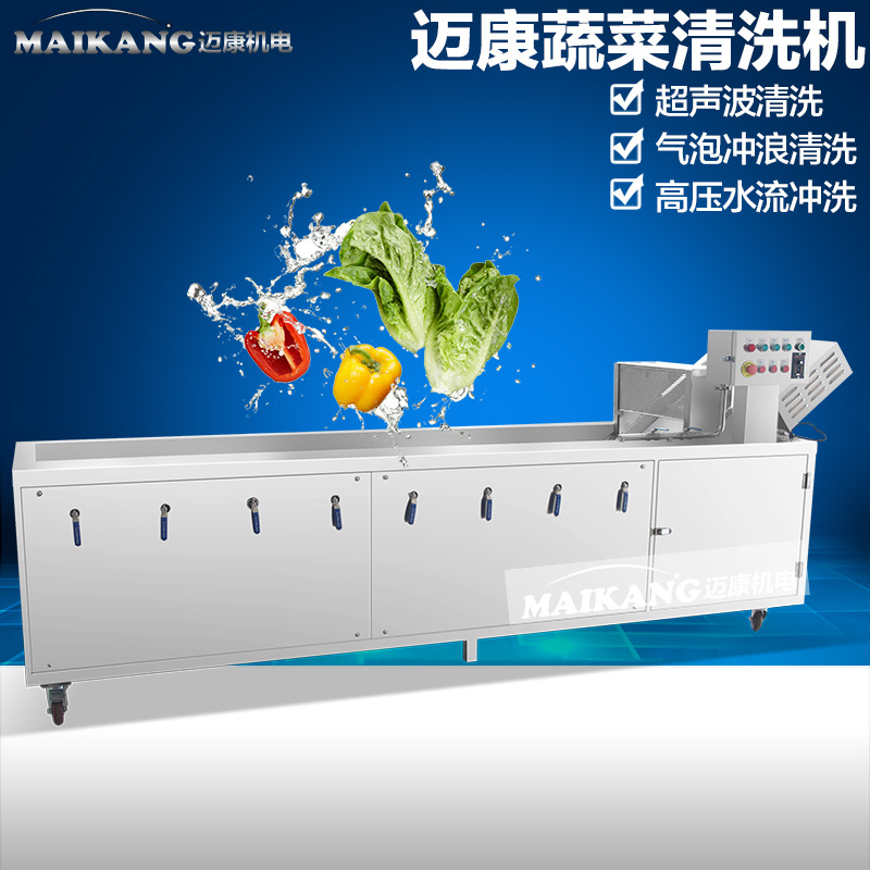 新春推出大型氣泡臭氧洗菜機 商用蔬菜清洗機 特價臭氧洗菜機設(shè)備