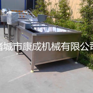 商用小型氣泡洗菜機專業(yè)仿手工全自動果蔬蔬菜清洗機廠家直銷