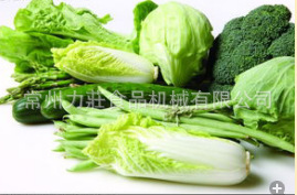 商用切菜機(jī) 可拆皮帶式切絲機(jī)多功能切片、切丁機(jī)食堂餐廳
