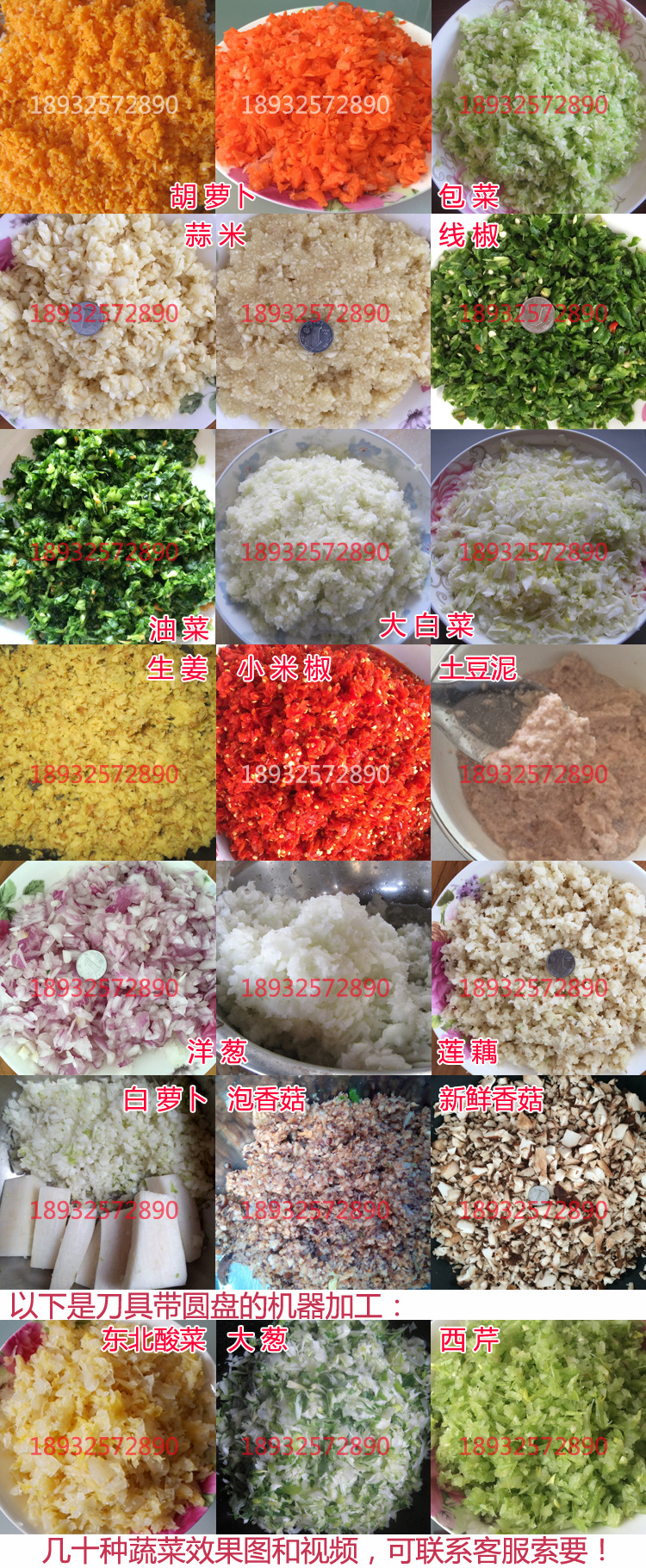 廠家直銷新款切菜機電動不銹鋼商用多功能絞菜機剎菜機廚房設備
