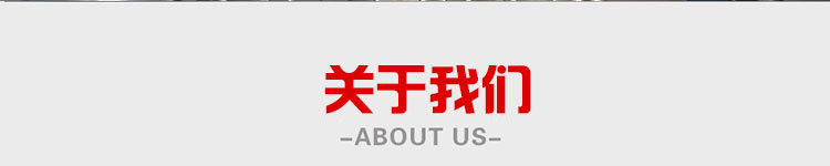 比薩爐商用佳斯特EP-2 磚底電熱雙層電披薩爐披薩烤箱全國(guó)聯(lián)保