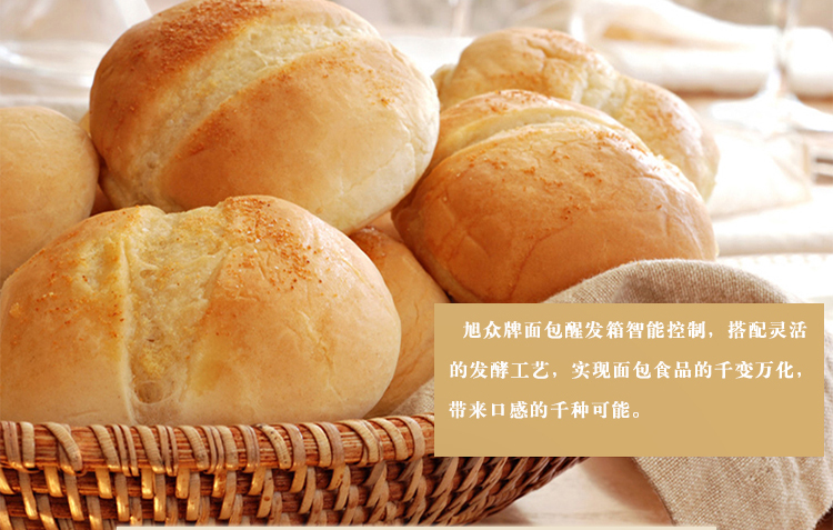 旭眾面包醒發(fā)箱全自動(dòng)商用小型單門雙門包子饅頭食品機(jī)械全國聯(lián)保