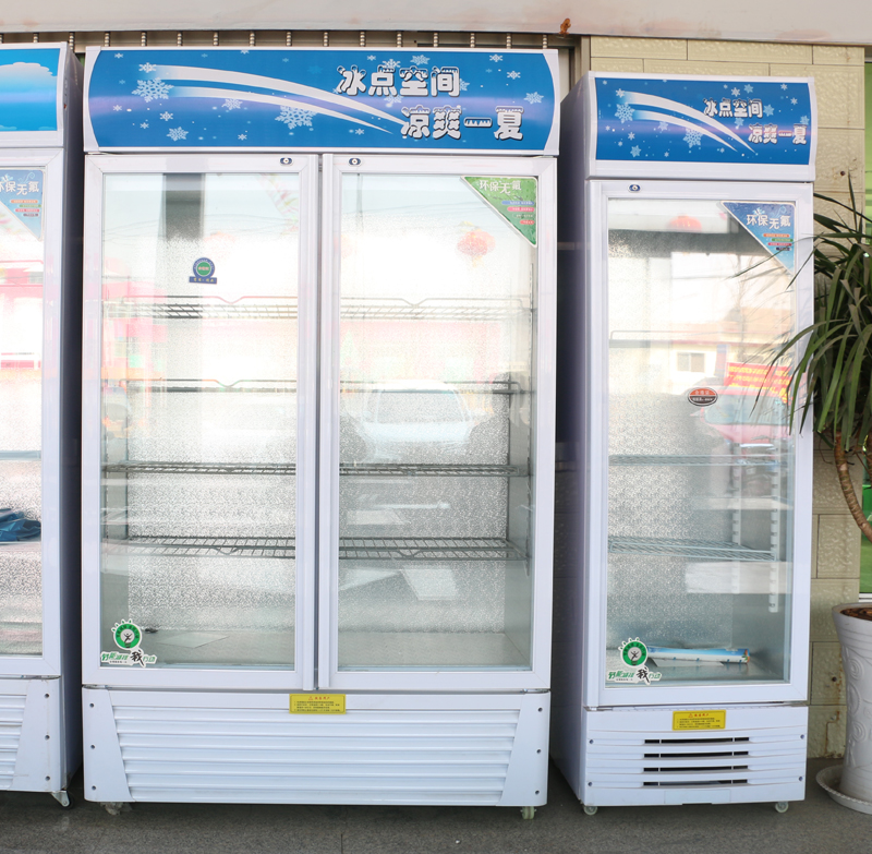 宜鑫佳啤酒柜飲料柜 立式蔬菜冷藏保鮮展示柜 單雙門(mén)陳列柜