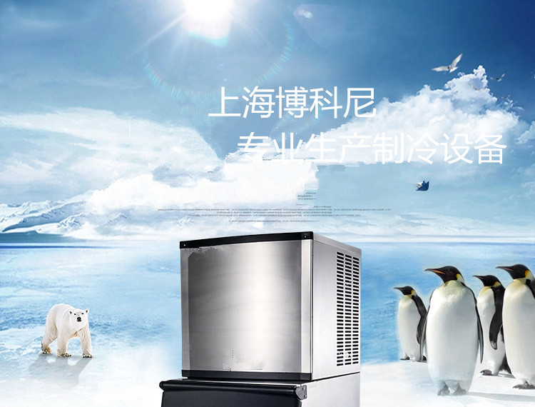 上海博科尼生產(chǎn)BKN-500B商用制冰機(jī)全國聯(lián)保制冰機(jī)奶茶店專用