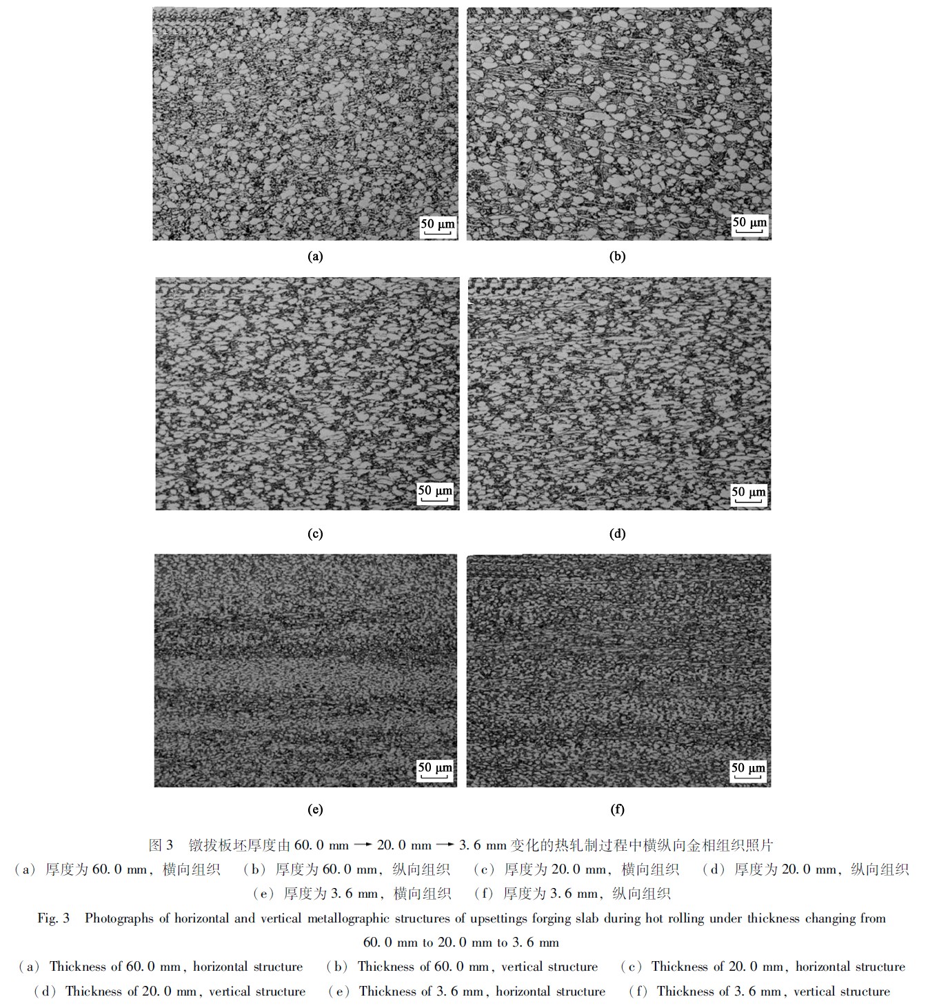 1671632343728246.jpg t3.jpg