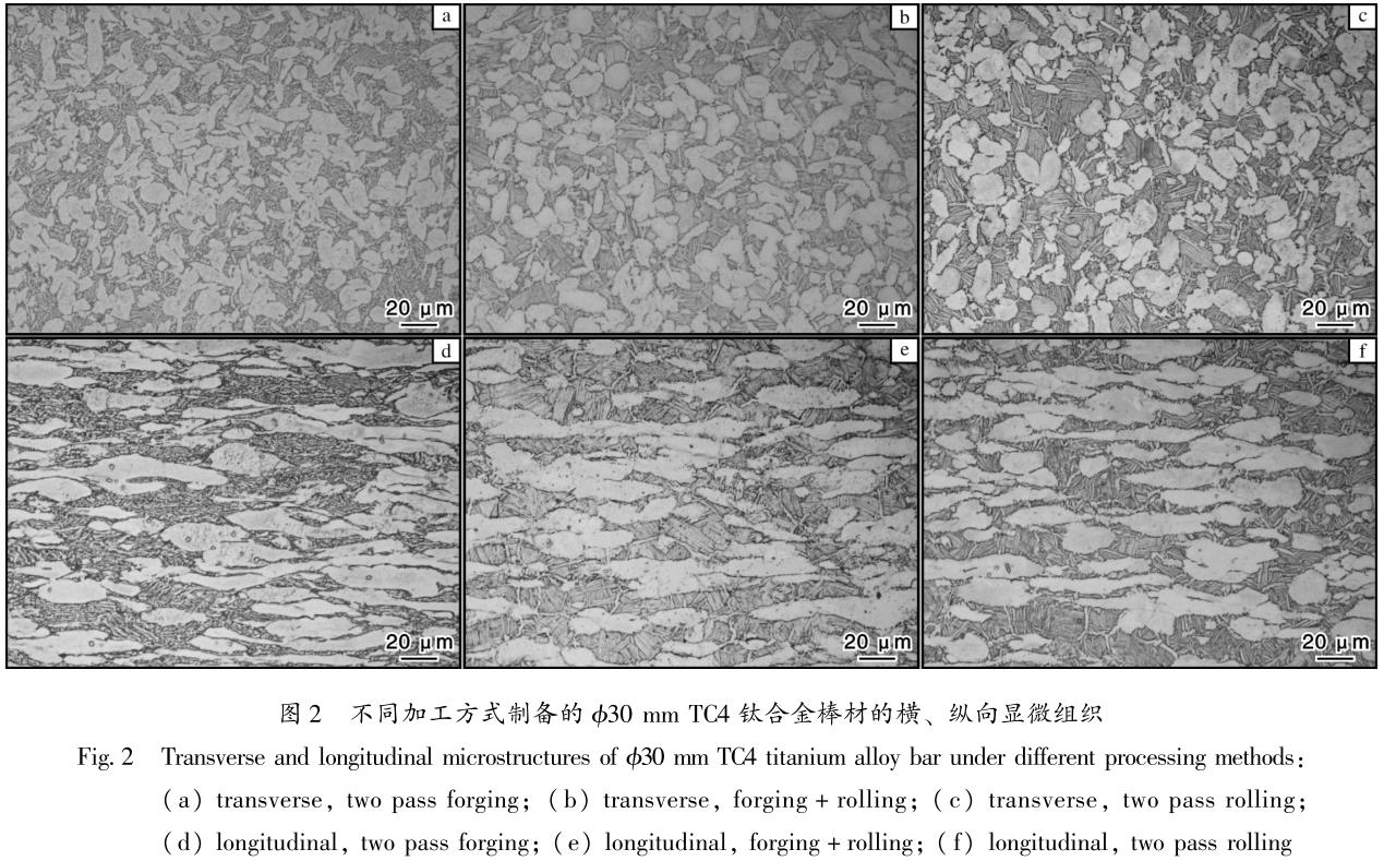 1686563011711848.jpg t2.jpg