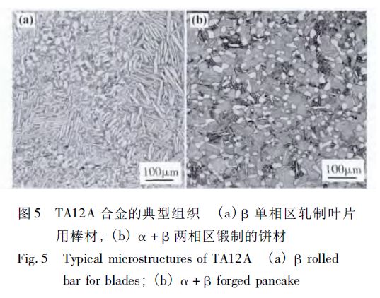 1696587014481720.jpg 12.jpg