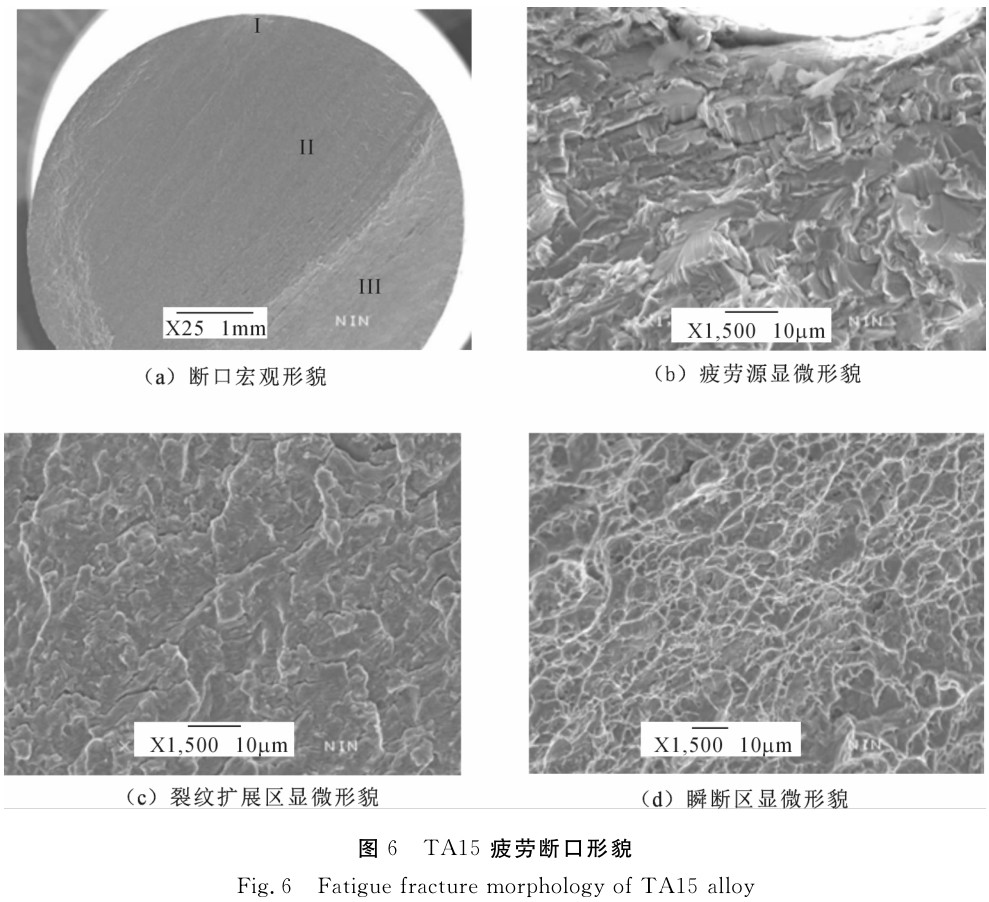 1697980327863180.jpg t6.jpg