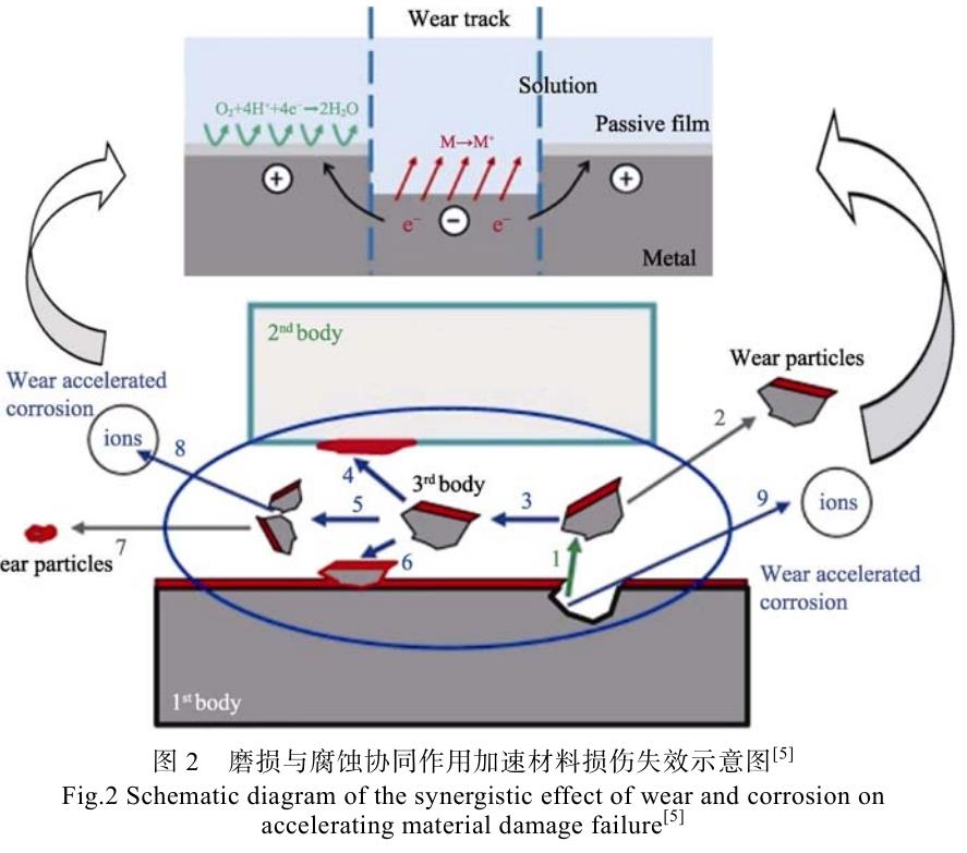 1700445496526443.jpg t2.jpg