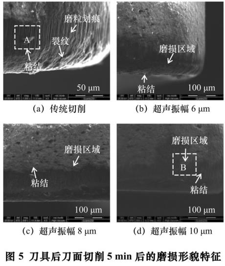 1700644237767982.jpg t5.jpg