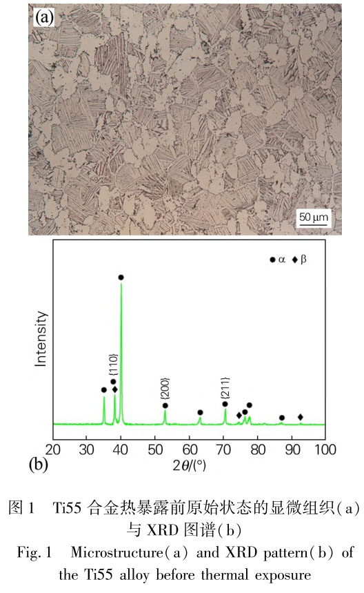 1711447261935274.jpg t1.jpg