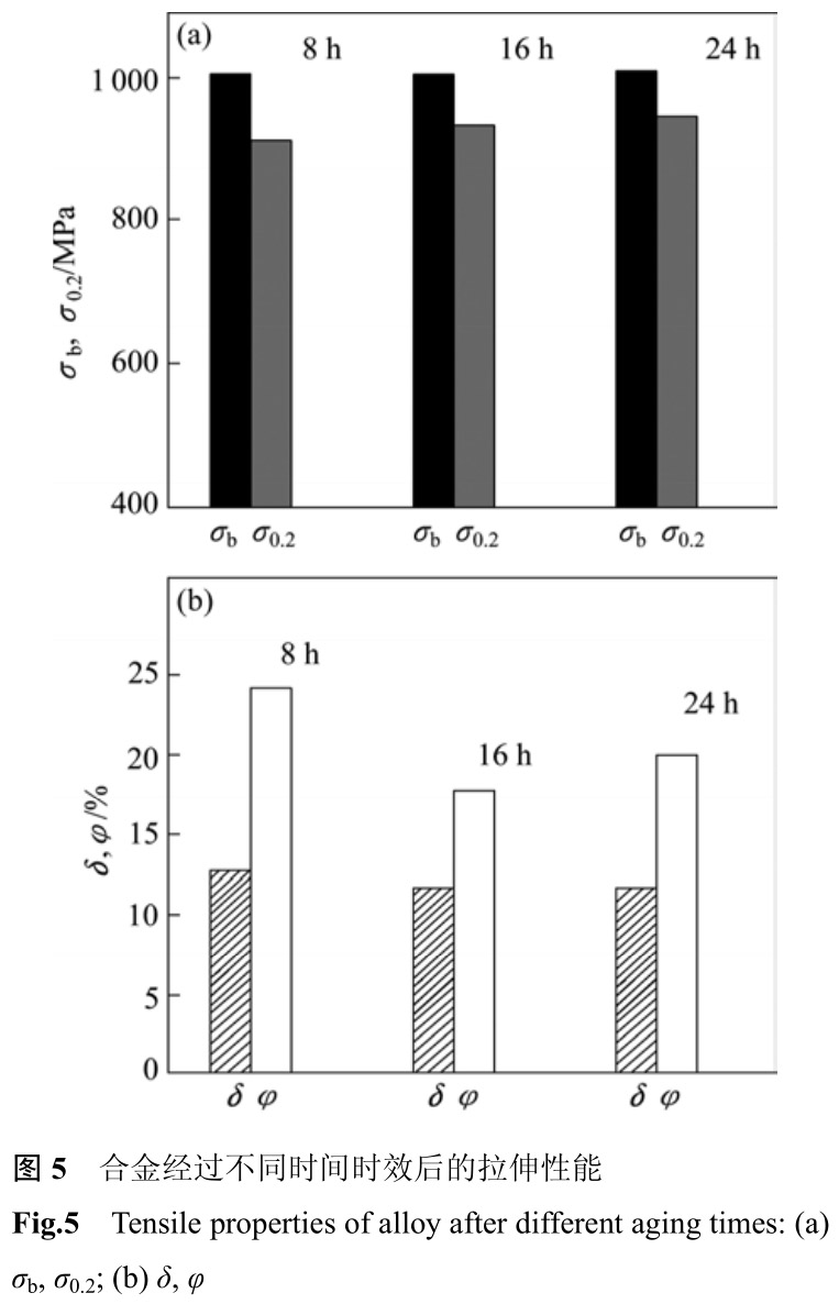 1712459110218100.jpg t5.jpg