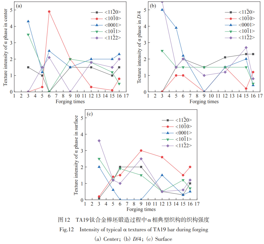 1766715797801963.jpg 未標題-1.jpg