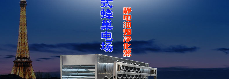 1123大促　110孔等離子電場(chǎng) 110針蜂窩電場(chǎng) 油煙凈化器蜂巢電場(chǎng)