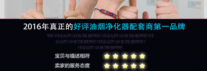 1123大促　110孔等離子電場(chǎng) 110針蜂窩電場(chǎng) 油煙凈化器蜂巢電場(chǎng)